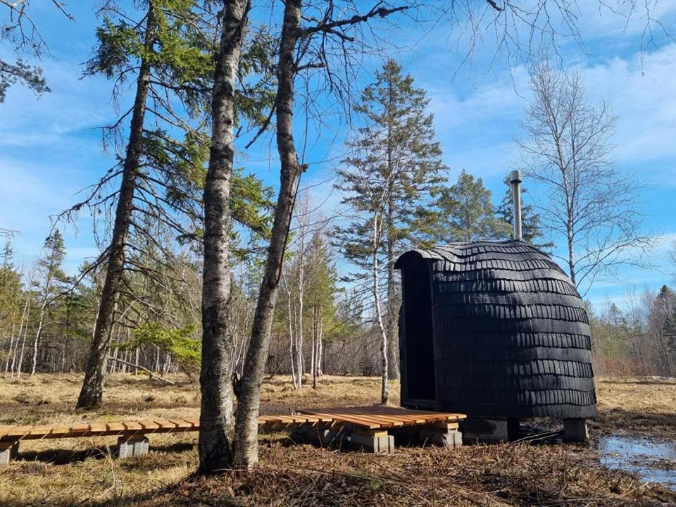 Sambliku Treehouse Villa Jogisoo Exteriör bild