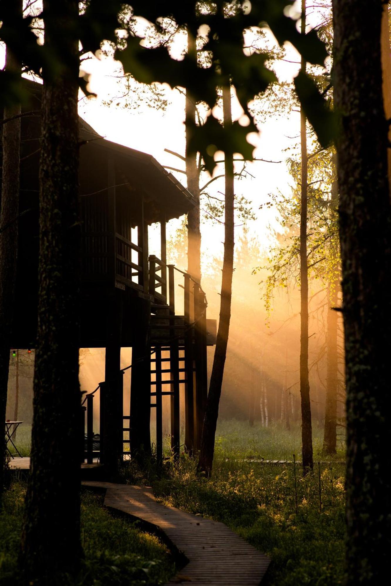 Sambliku Treehouse Villa Jogisoo Exteriör bild
