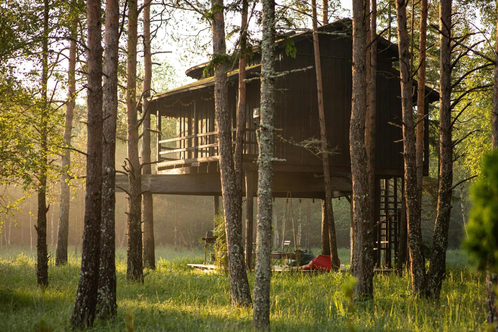 Sambliku Treehouse Villa Jogisoo Exteriör bild